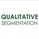 Qualitative Segmentation